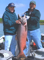 Kenai River King Salmon